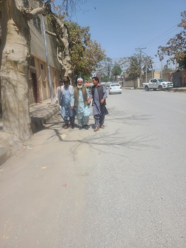 Morning street life and dandelions observed in Quetta, Pakistan