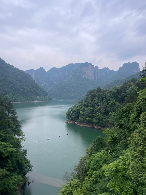 Calm lake scene captured amid green mountains in Wulingyuan