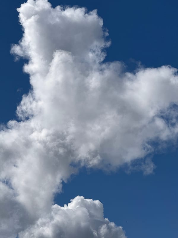 Cumulus clouds over Maldykasy on a bright summer day