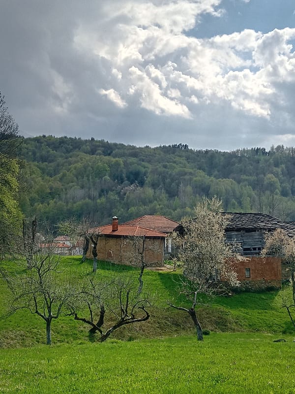 Rural village life documented through spring afternoon observations