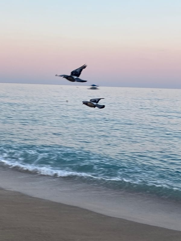 Dusk settles over Alanya's Mediterranean coastline