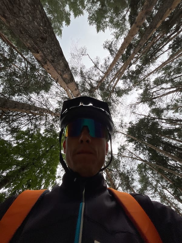 Morning forest cycling and nature photography in Chaikovsky