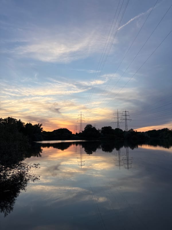 Fishing at golden hour on Ludwigshafen's lakeside