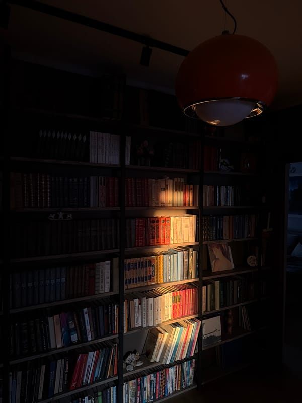 Quiet evening moments with books and pet bird in Khimki