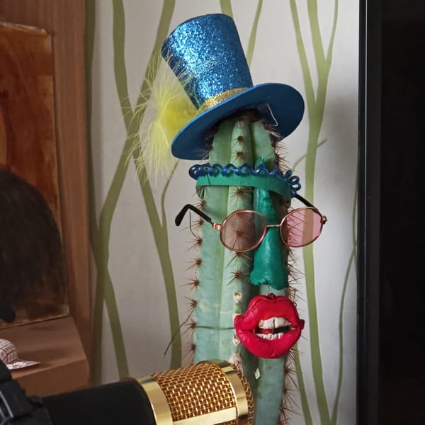 Costumed cacti display spotted in Ketoshi home setting
