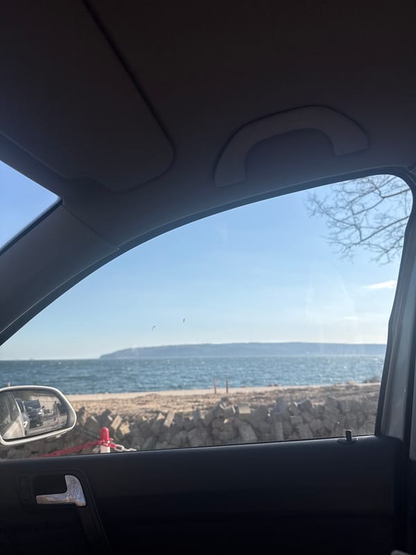 Driver travels coastal route along Varna's Primorski Park