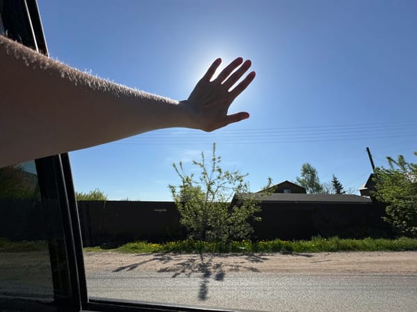 Hand reaches for morning sun from car window