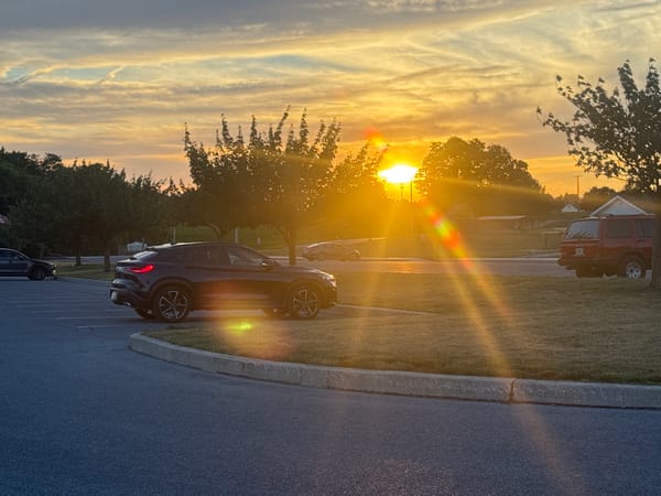 Parking lot at sunset, asphalt and grass at dusk