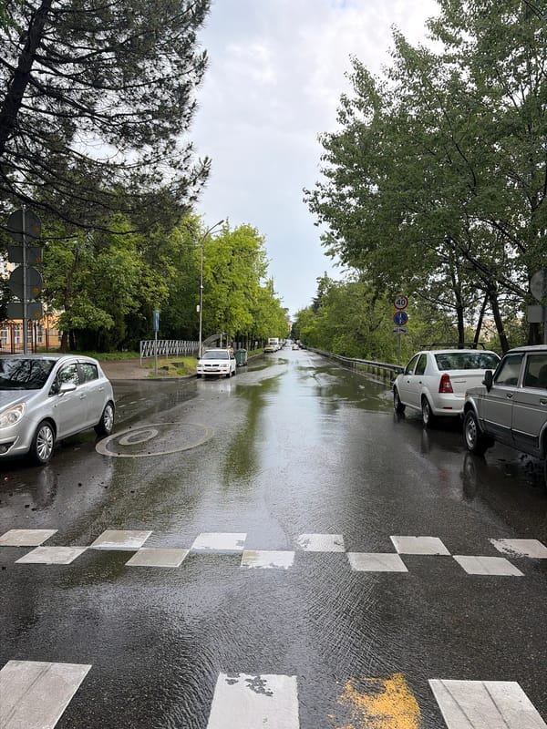 Post-rain morning scenes documented across Sochi, Russia