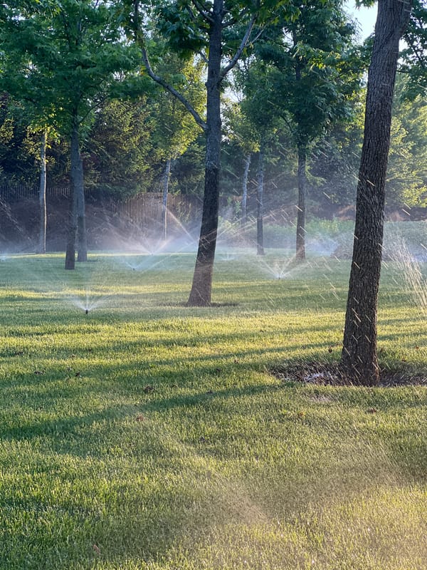 Park sprinklers water lawn during golden hour in Krasnodar