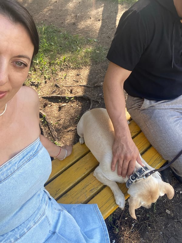 Lazy park afternoon in Tujmazy: benches, wildflowers, and a dog