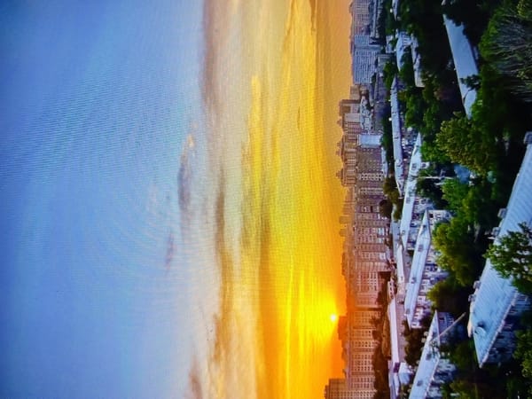 Eclectic mix of nature, food, and urban scenes in one burst