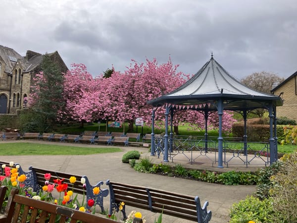 Spring scenes documented at Bradford war memorial park