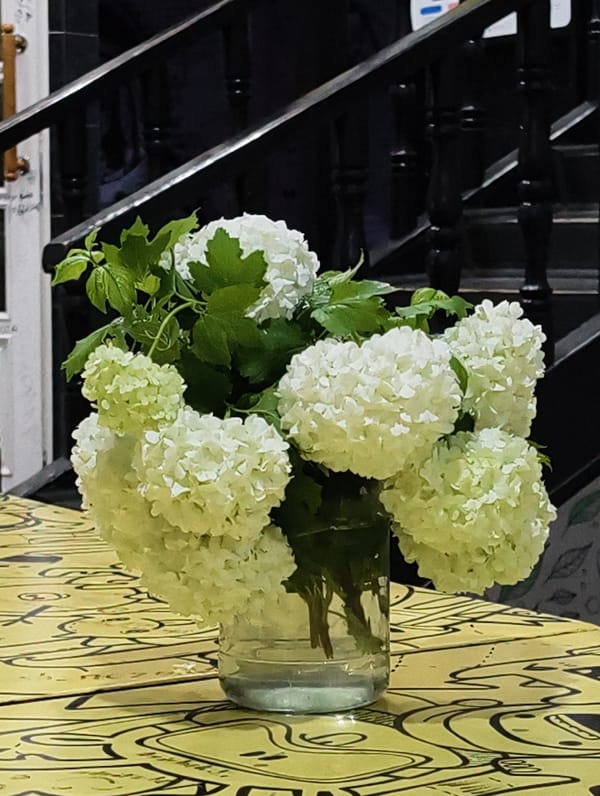 Interior scenes documented in Tashkent featuring flowers and space ape artwork