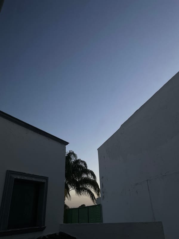 Everyday moments captured across San Bernardino Tlaxcalancingo during evening hours