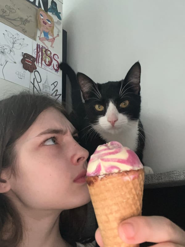 Woman enjoys ice cream and cat time in Saint Petersburg