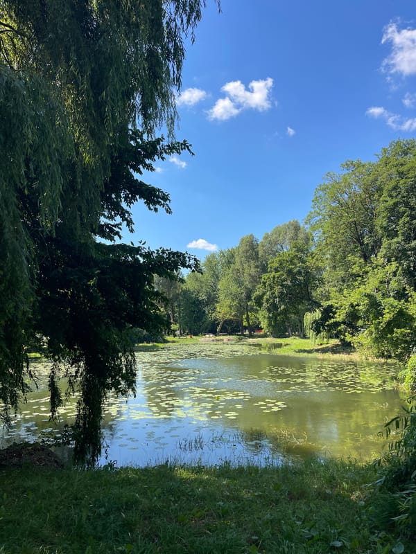 Calm summer morning at a Ternopil park and waterway