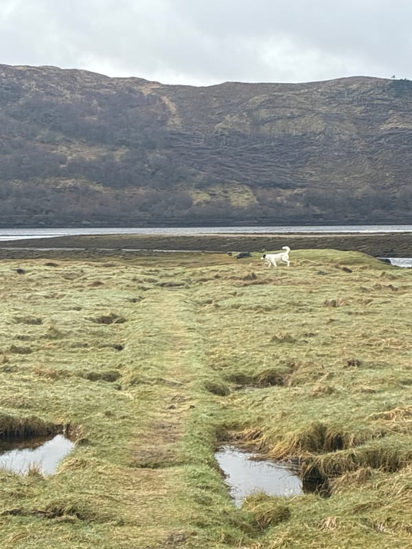 Highland landscape scenes captured near Strontian, Scotland