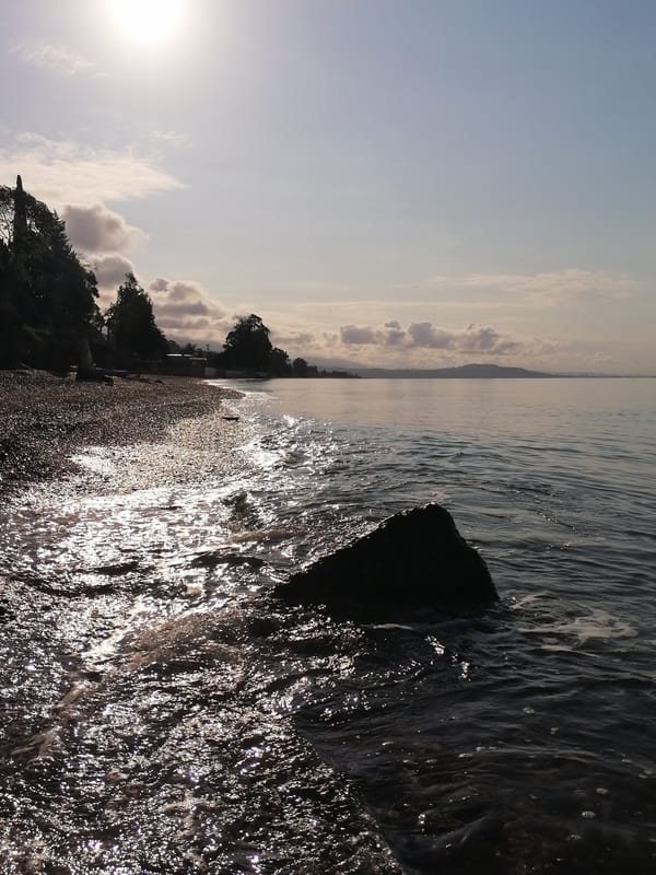 Witness documents peaceful sunrise coastal scene over 16 minutes