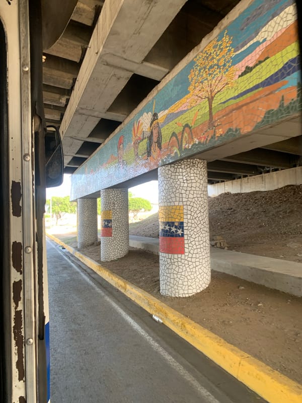 Mosaic art installation documented on Venezuelan overpass from passing vehicle