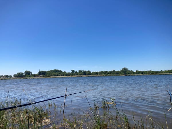 Fishing the reedy banks of a calm Russian lake on a clear morning