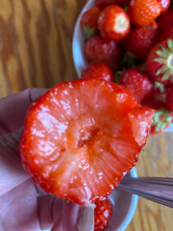 Morning strawberry breakfast preparation documented in Bílina, Czech Republic