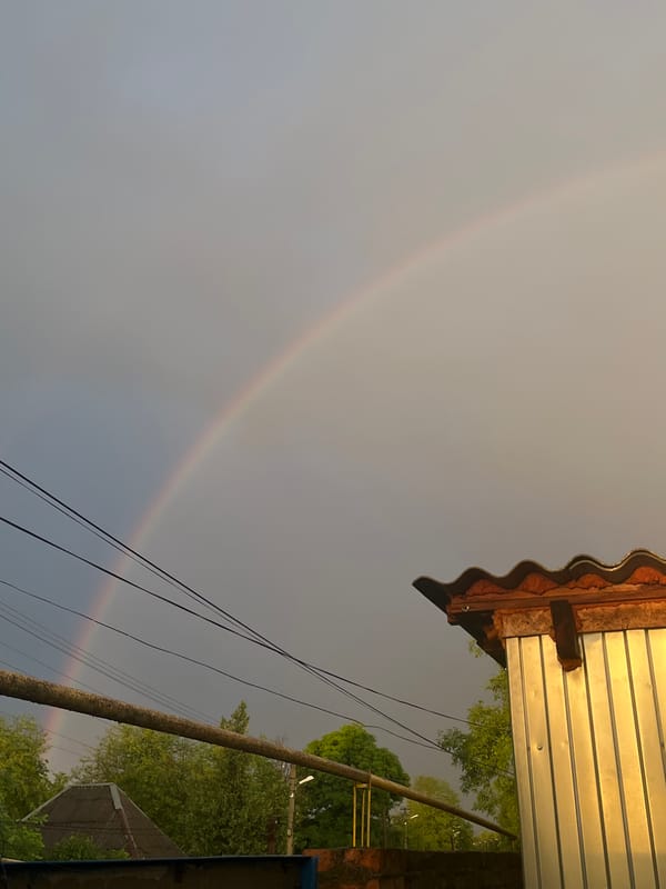 Double rainbow evening, sleeping bulldog, and glowing flamingos