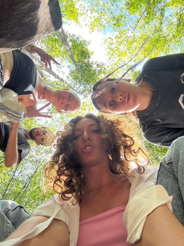 Group photographed in Vietnamese bamboo forest during morning visit