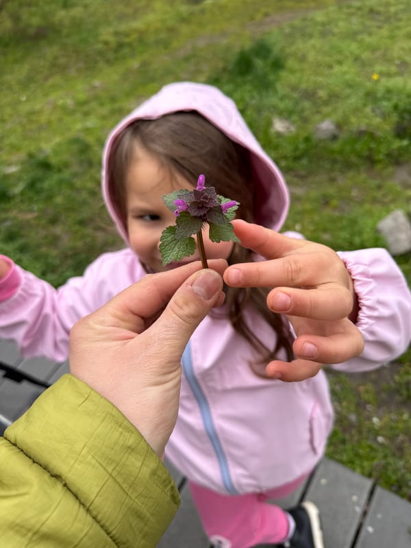 Spring morning domestic life documented across Sofia neighborhoods
