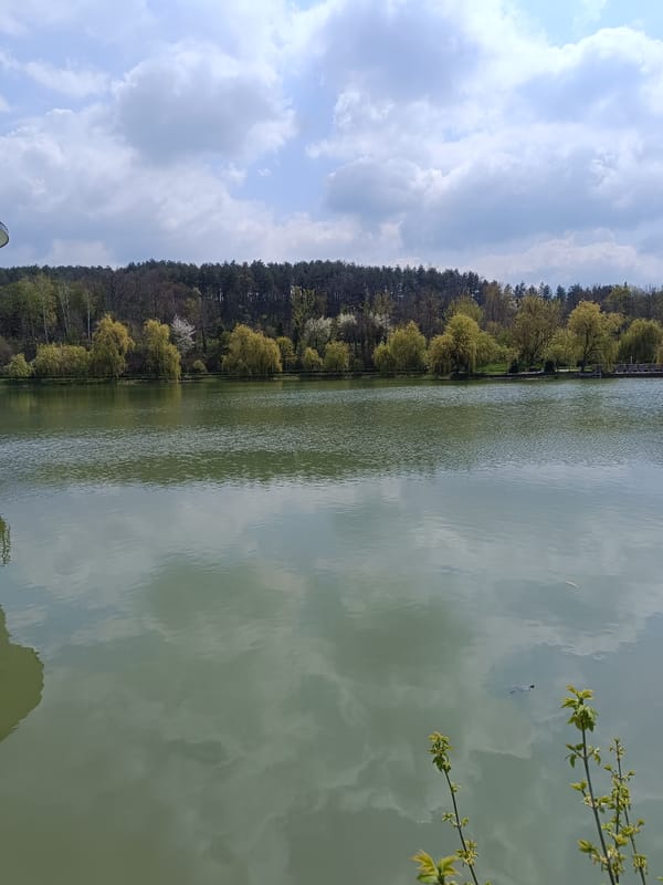 Turtle spotted swimming in reflective lake near Targovishte