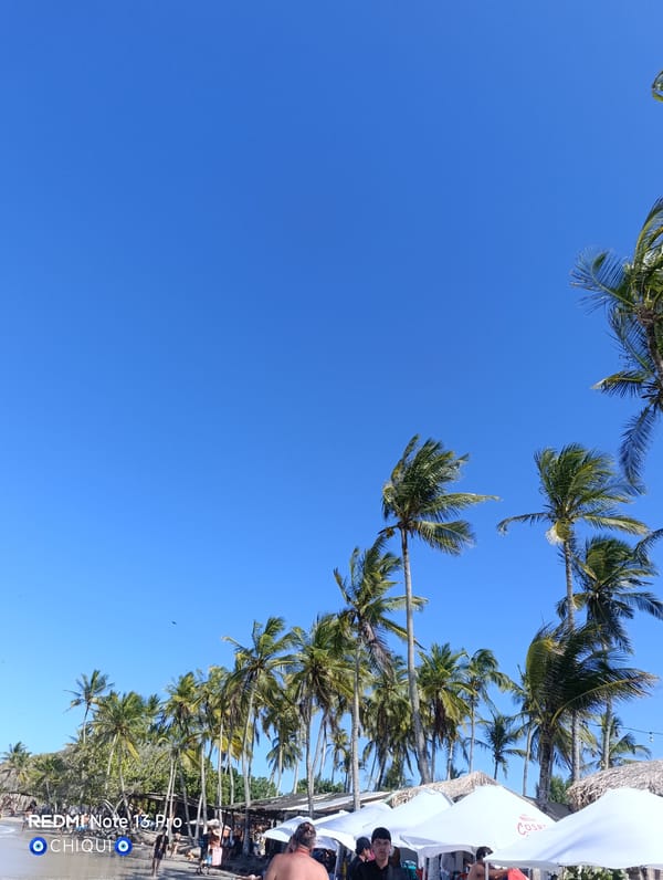 Busy evening at Playa Parguito beach draws crowds