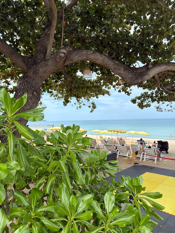 Morning walkthrough of a tropical beach resort's grounds