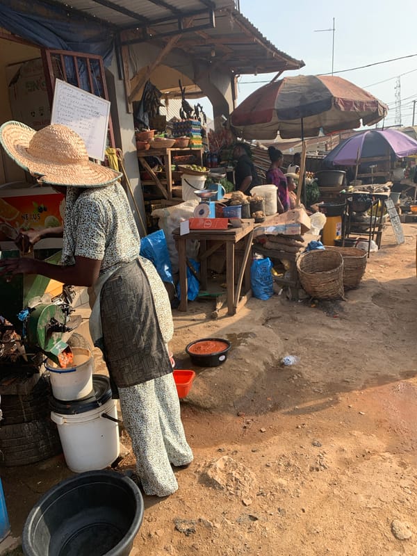 Market scenes captured in Dutsen Alhaji, Nigeria