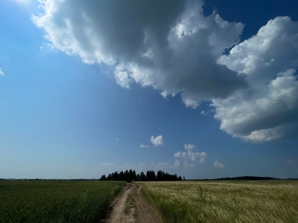 Rural dirt road cutting through summer fields near Перевозное