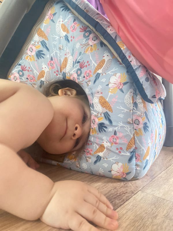 Quiet domestic moments with pets, child, and clouds documented