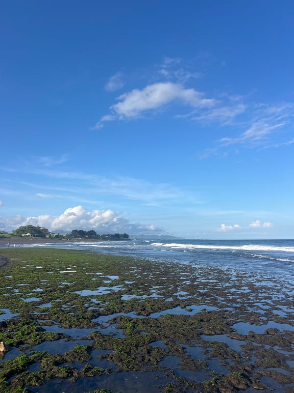 Beach morning documented with tide pools and toys in Blahbatuh