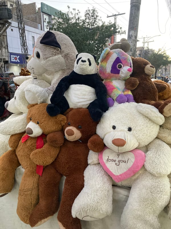 Stuffed animals displayed in Quetta City Tehsil, Pakistan