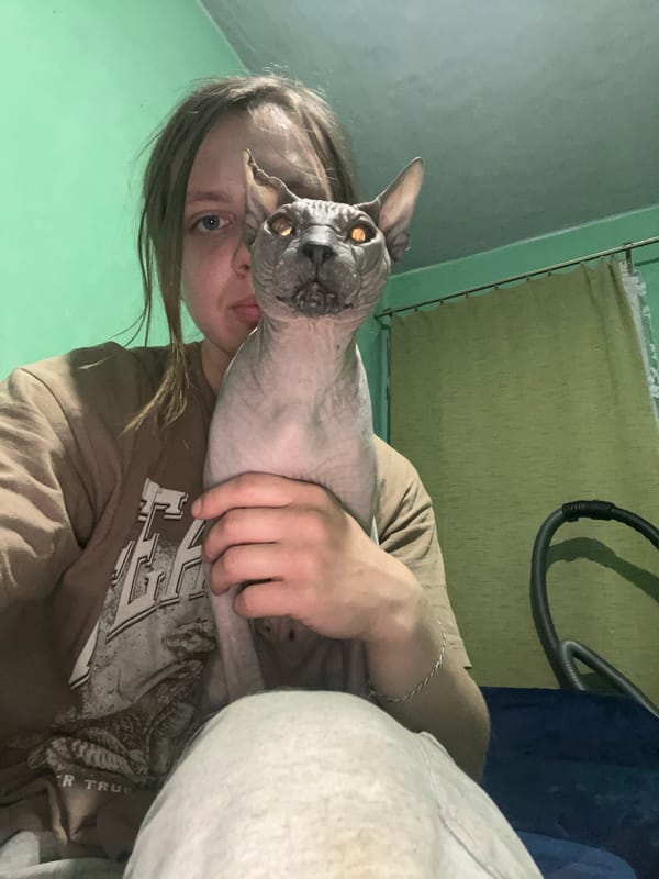 Person spends afternoon with pets in Nizhny Tagil home