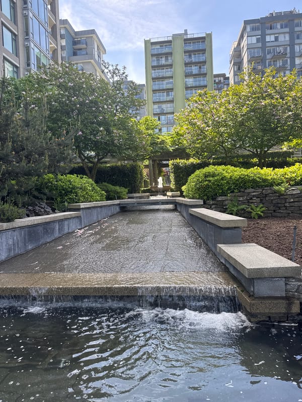 Vancouver garden features documented during evening visit