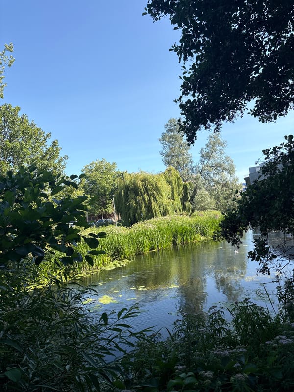 Strolling an urban canal path with murals and greenery
