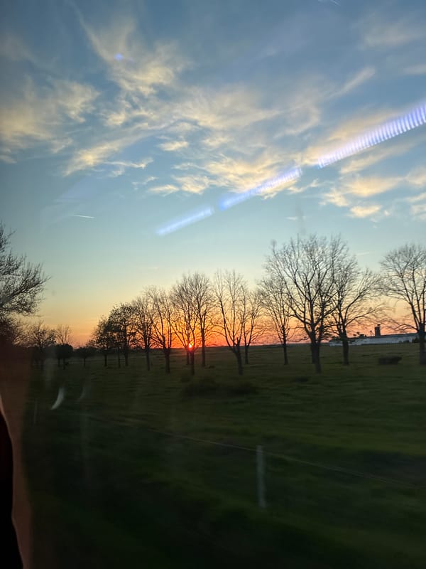 Rural Bulgarian landscape photographed from vehicle during sunset