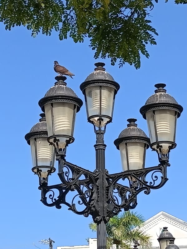Puerto Plata's historic center: gazebo, street life, and local art