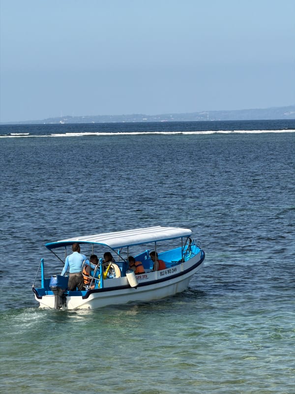 Morning beach life documented in Denpasar waters and shores