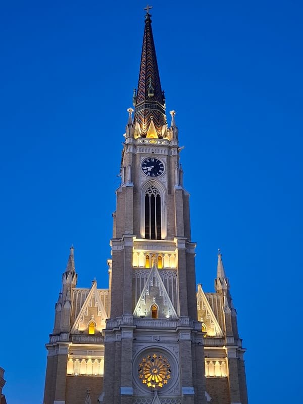 Novi Sad resident captures everyday indoor moments with cat, toys