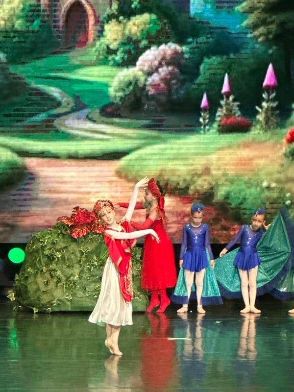 Youth ballet recital performed in Khabarovsk auditorium