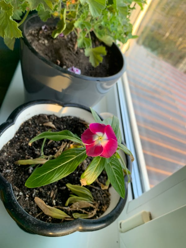 Woman takes selfie in colorful outfit in Izhevsk
