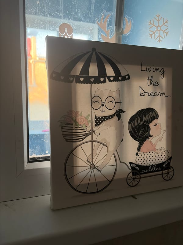 Eclectic home snapshots from Anapa: cats, art, and knick-knacks