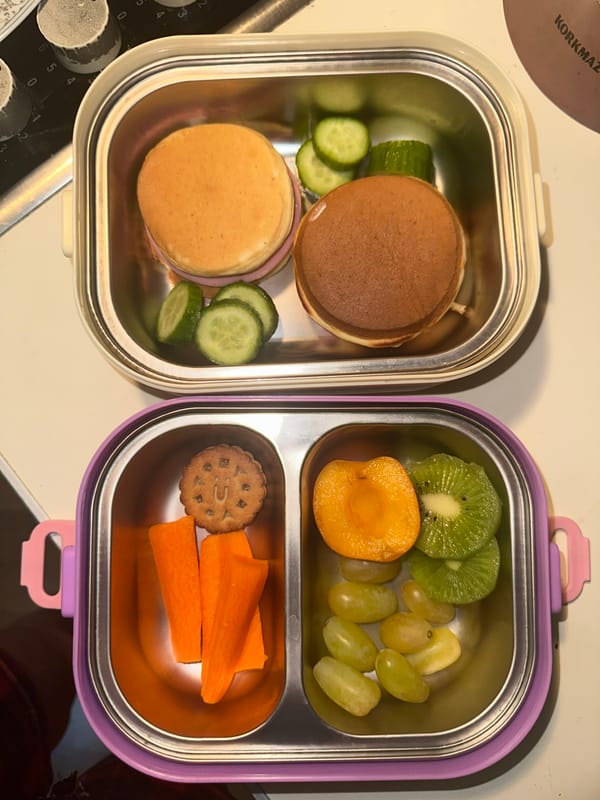 Two prepared lunchboxes spotted on kitchen counter in Esenyurt