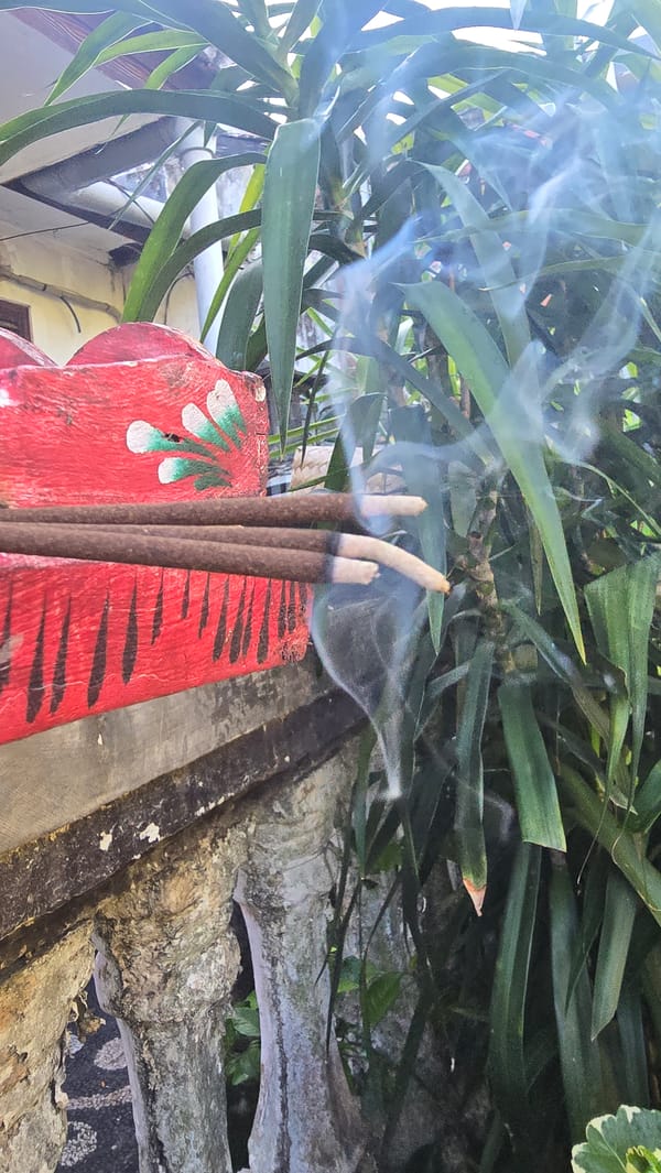 Garden documentation captures plants and Hindu offerings in Banjarangkan