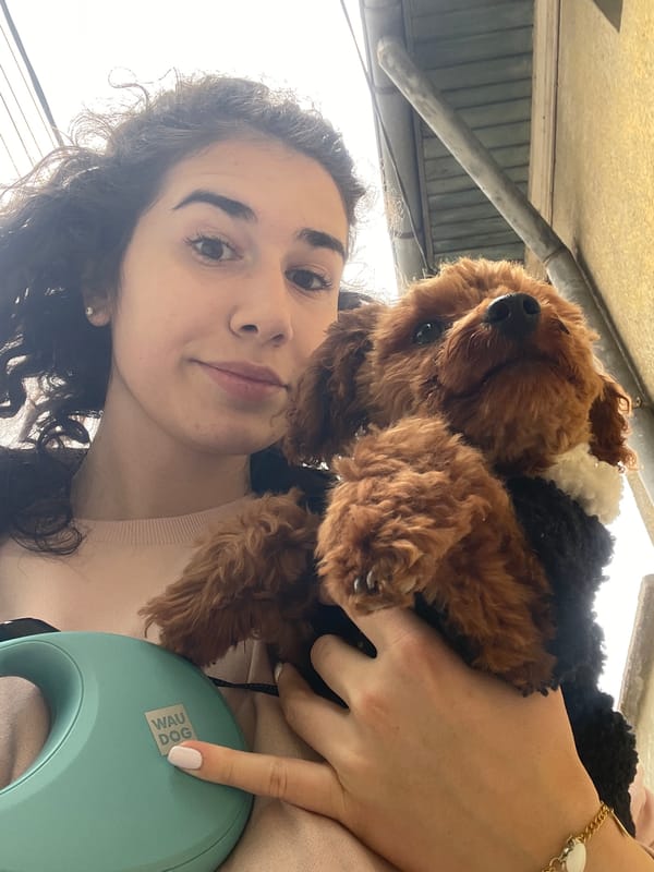 Morning dog walk and shopping trip in Sofia